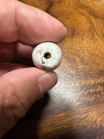 Inlaid Naga Conch Shell Bead: Hand-Engraved Turtle, Turquoise & Coral