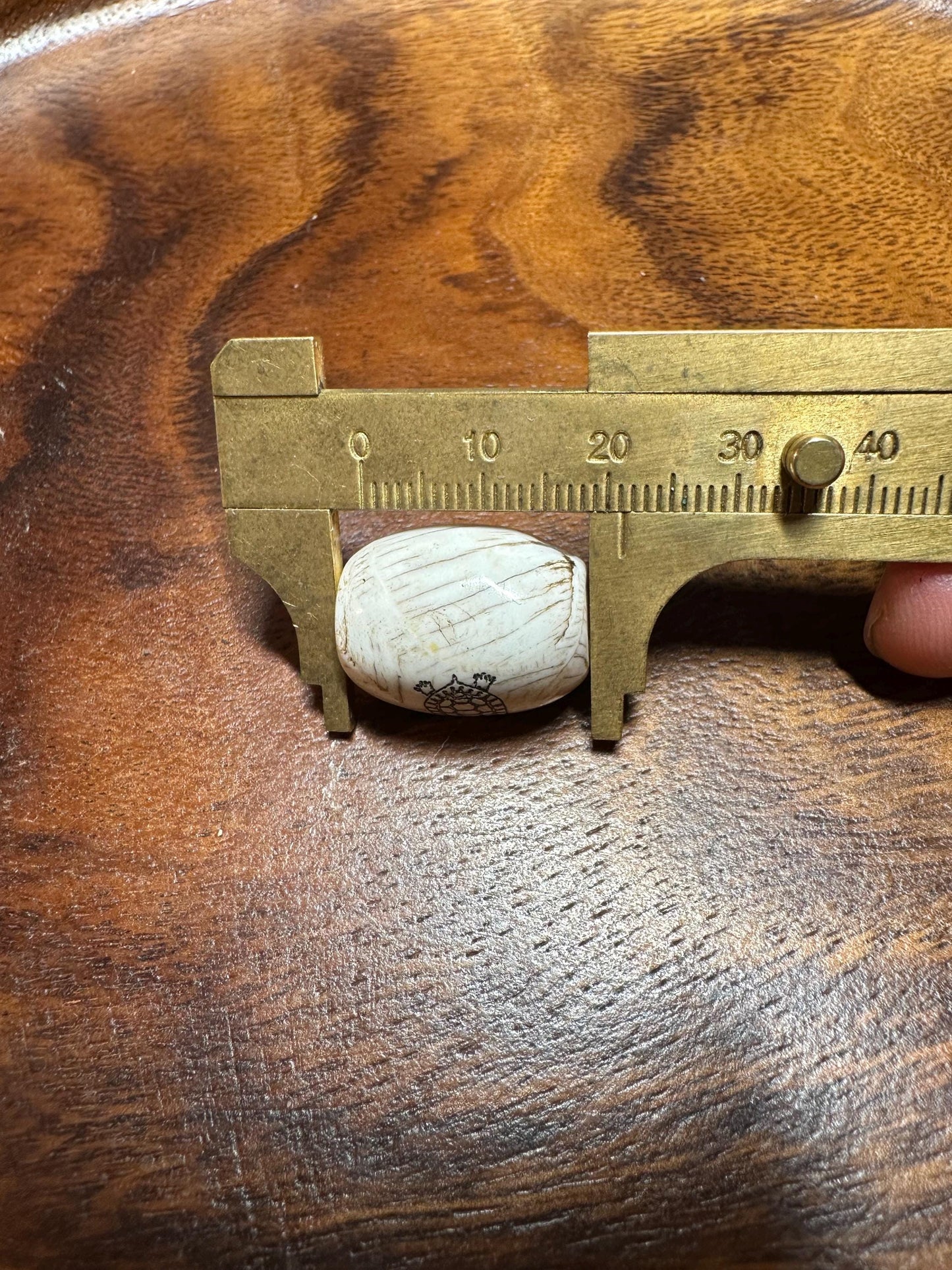 Inlaid Naga Conch Shell Bead: Hand-Engraved Turtle, Turquoise & Coral