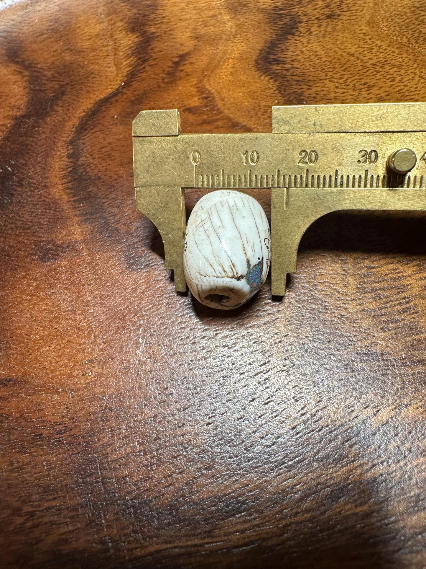 Inlaid Naga Conch Shell Bead: Hand-Engraved Turtle, Turquoise & Coral