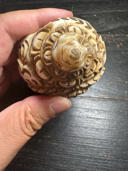 Hand-Carved Mahakala Conch Shell Trumpet | Tibetan Buddhist Ritual Horn | 4.8 Antique-Style Shell from Nepal
