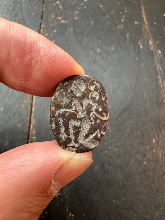 Hand Carved Native Jade Scarab Amulet  Ancient Egyptian Style Beetle Talisman  Unique Cultural Artifact